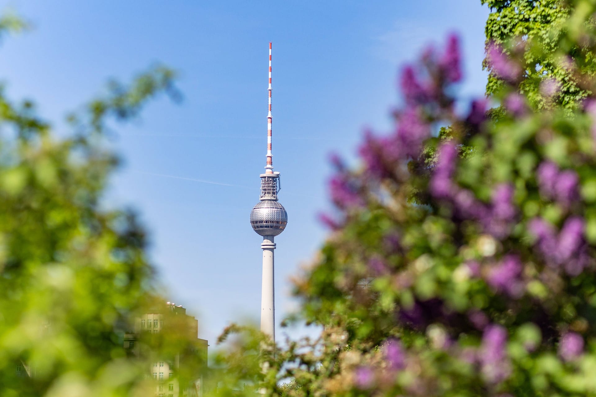 Frühlingserwachen in Berlin (Archivbild): Es bleibt schön in und um der Hauptstadt, nachts wird es allerdings kalt.
