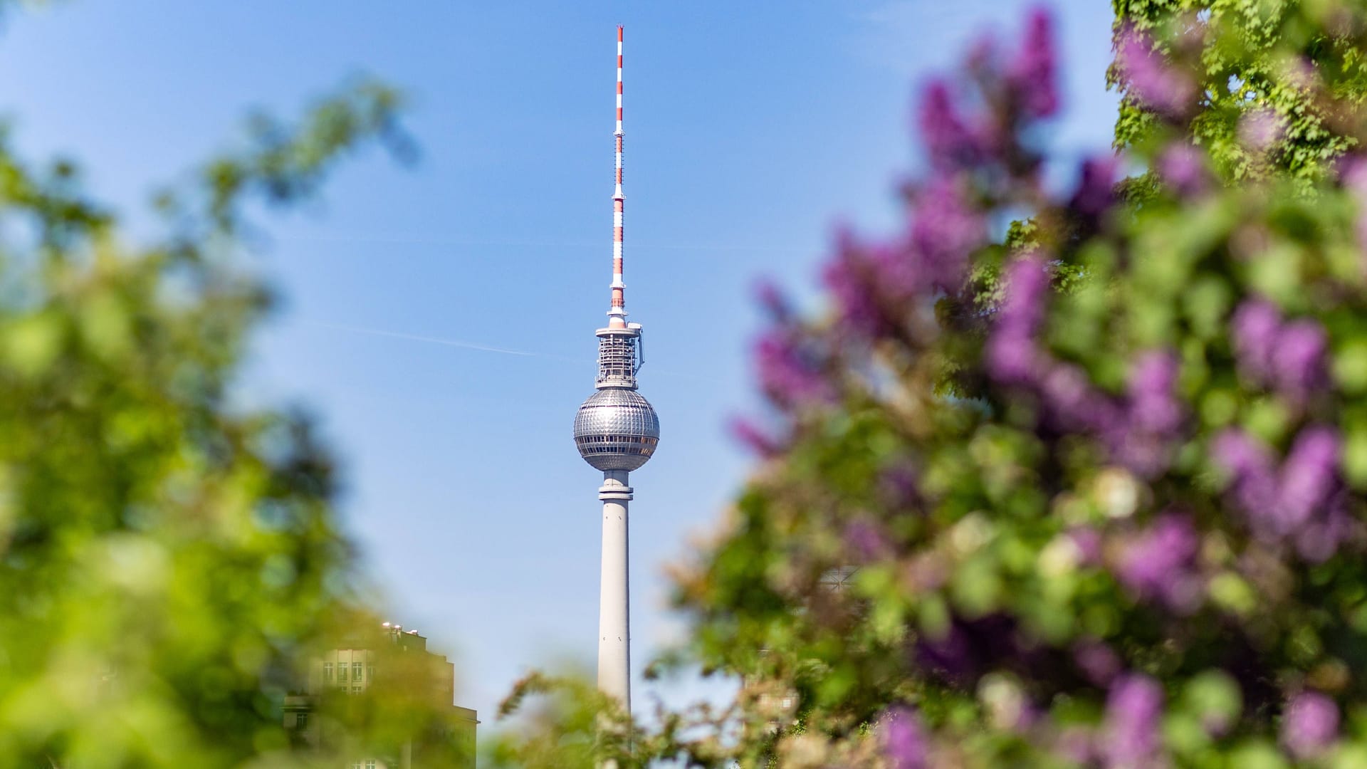 Frühlingserwachen in Berlin (Archivbild): Es bleibt schön in und um der Hauptstadt, nachts wird es allerdings kalt. Frühlingserwachen in Berlin (Archivbild): Es bleibt schön in und um der Hauptstadt, nachts wird es allerdings kalt.