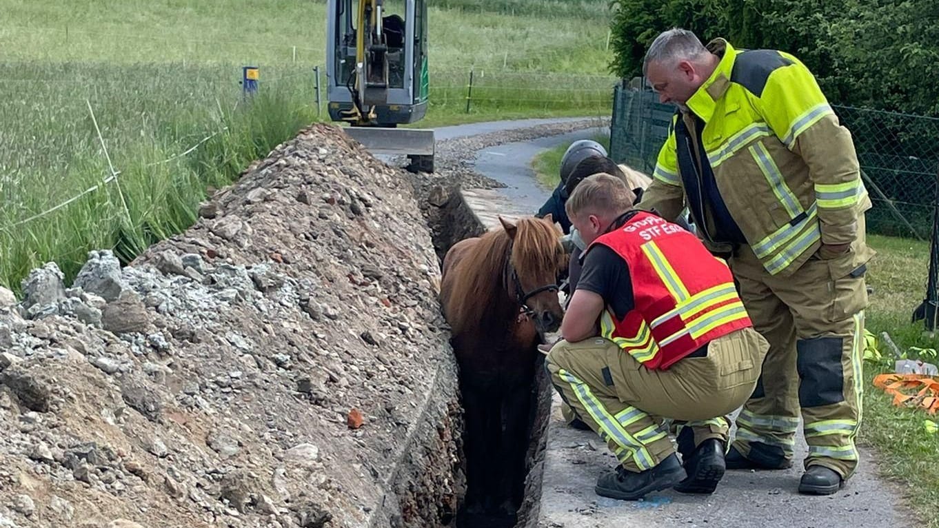 Missliche Lage: Einsatzkräfte wirken beruhigend auf das Tier ein.