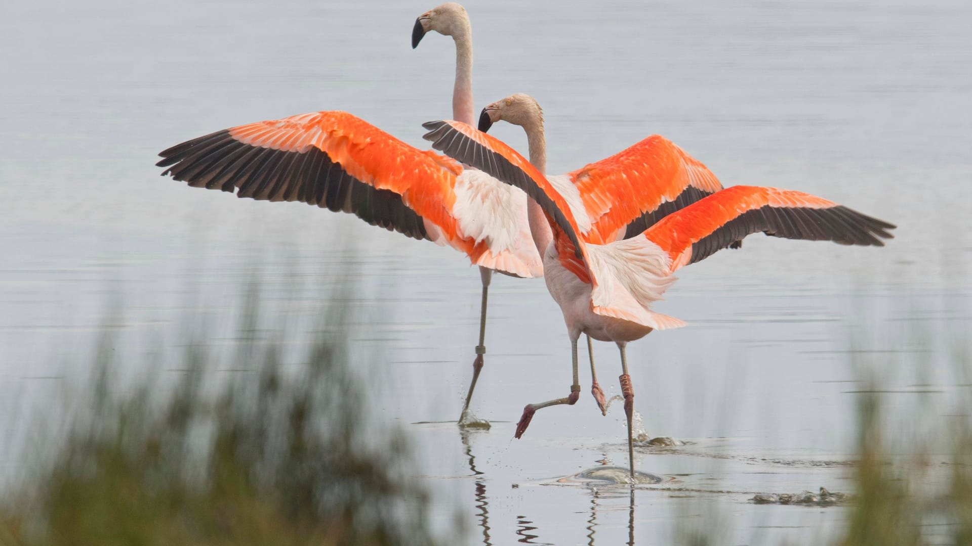 imago images 162851428 imago images 162851428