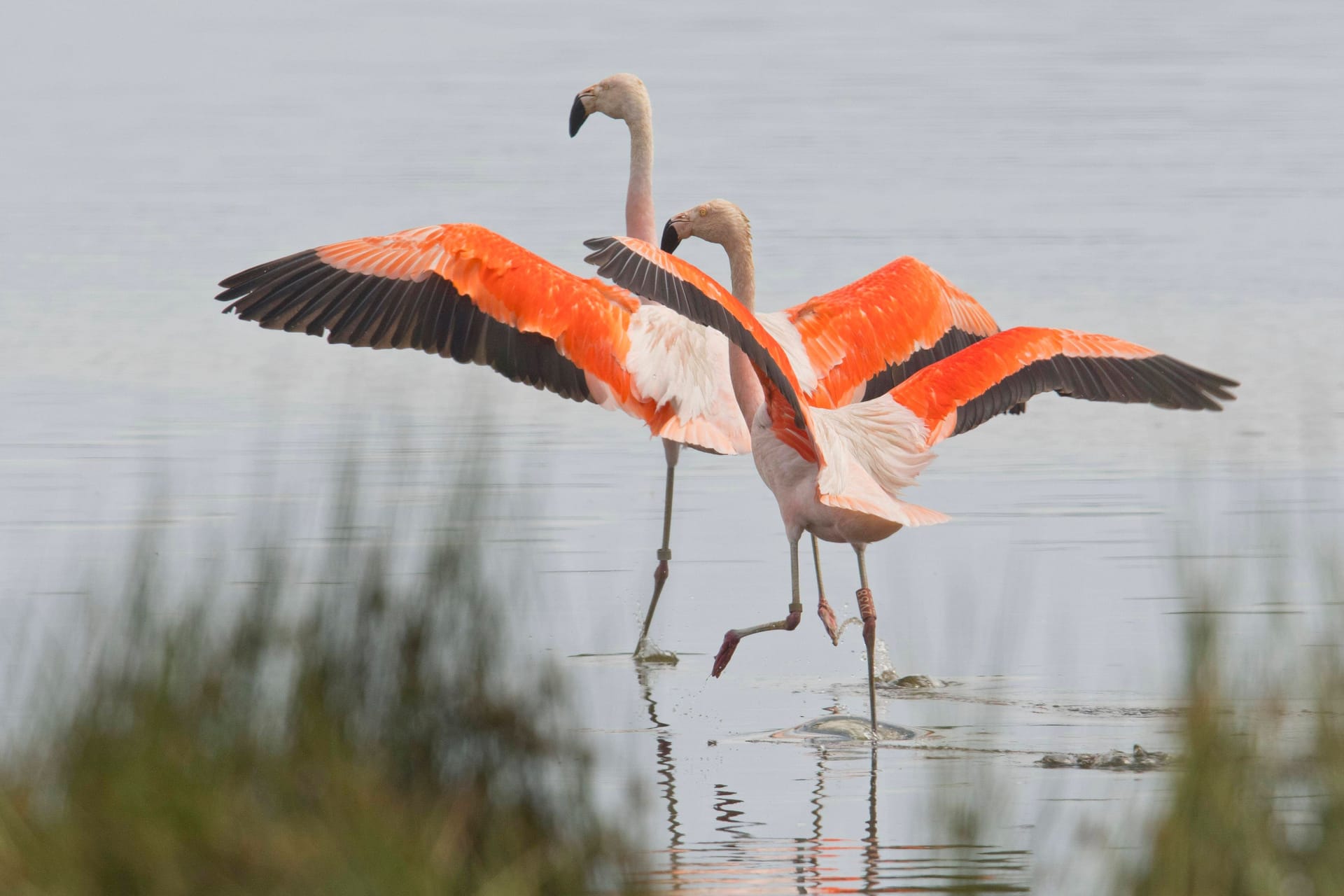 imago images 162851428