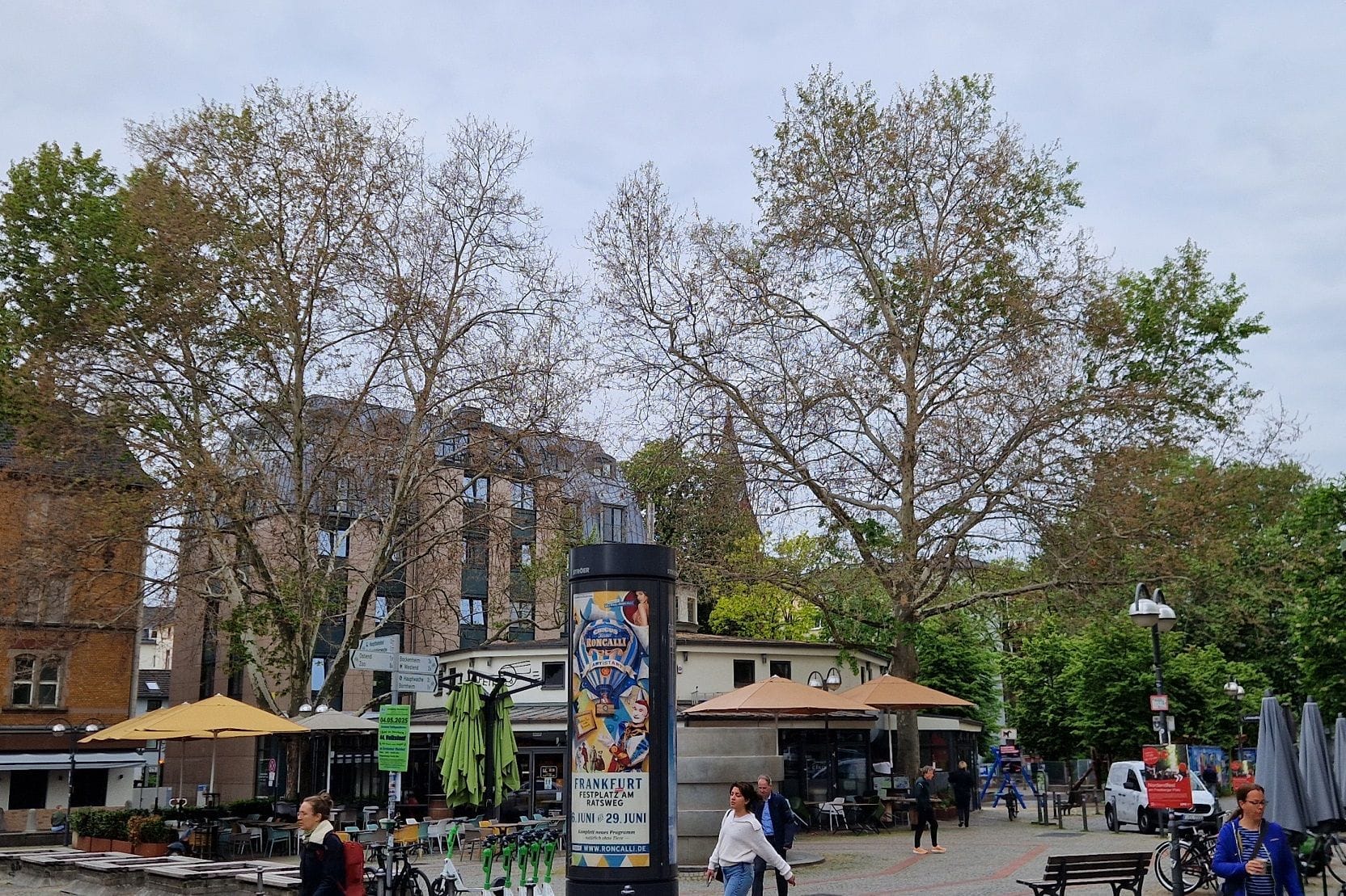 Die beiden Platanen am Merianplatz (Archivbild): Sie sollen nun in der kommenden Woche gefällt werden.
