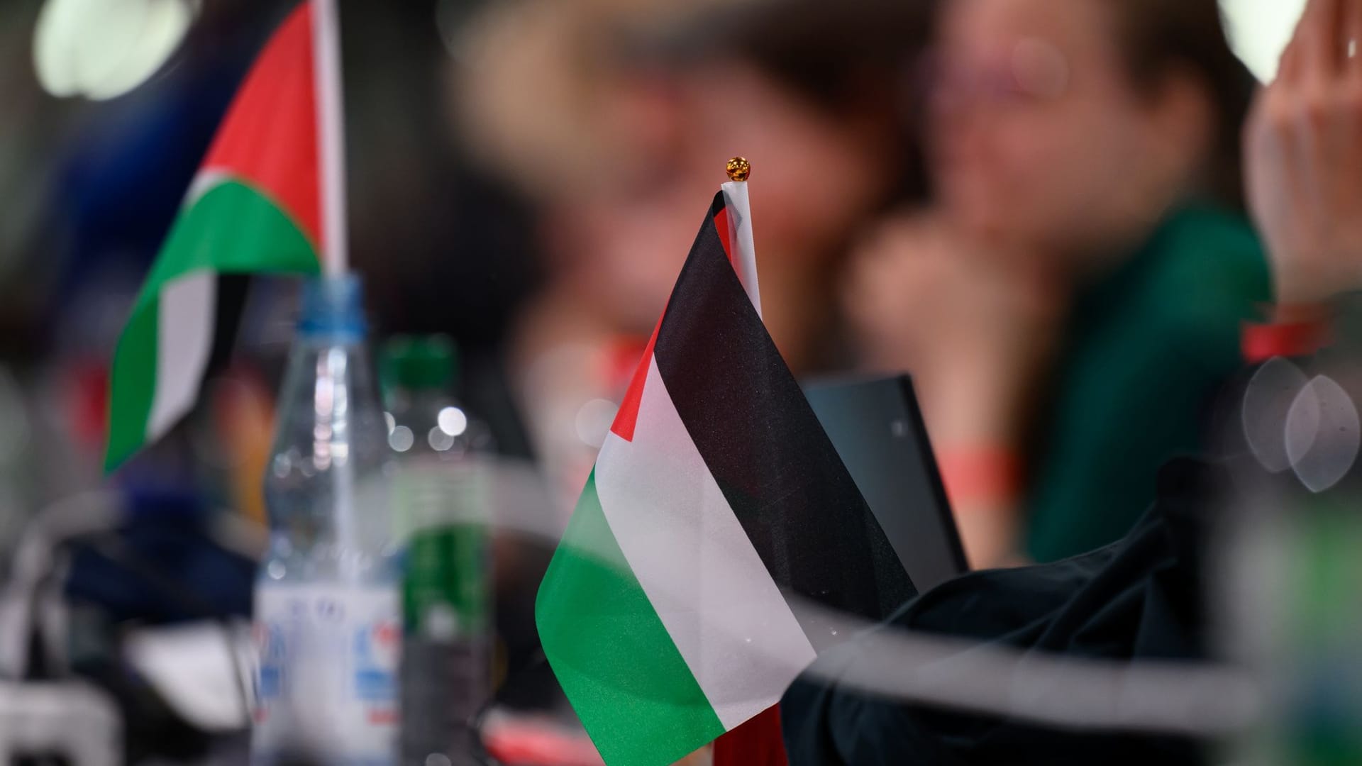 Bundesparteitag Die Linke