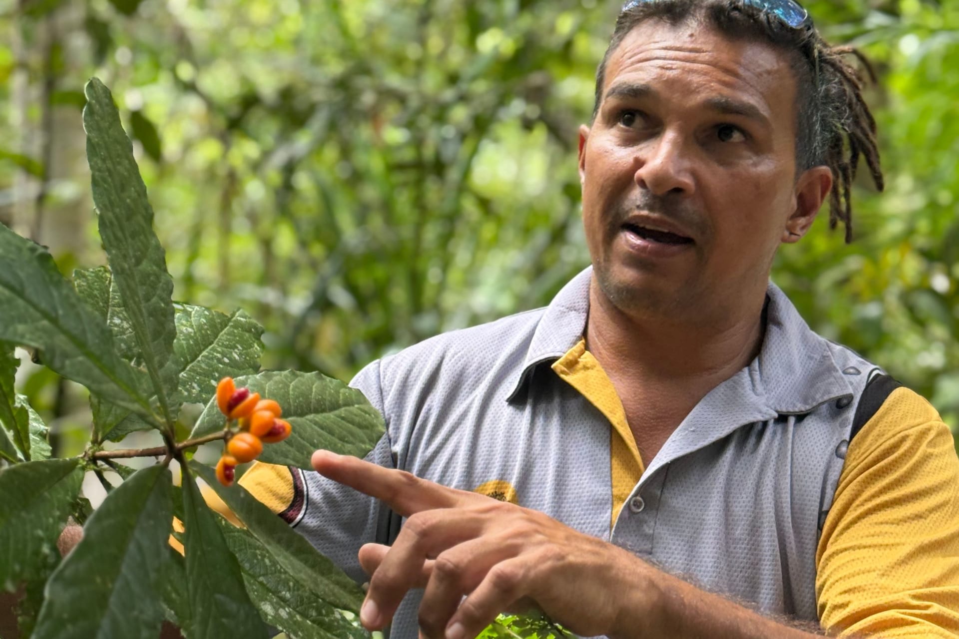 Juan Walker erklärt seinen Gästen, wie die Kuku Yalanji im Einklang mit der Natur gelebt haben.