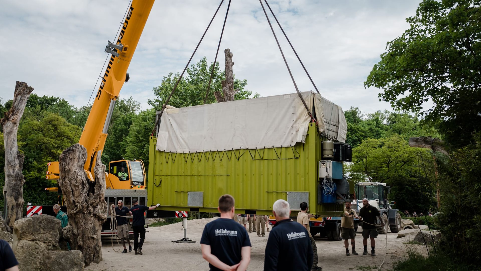 In diesem Container wurden die Elefanten transportiert: Um sie nach München zu bringen, waren ein Tieflader und ein Autokran notwndig.