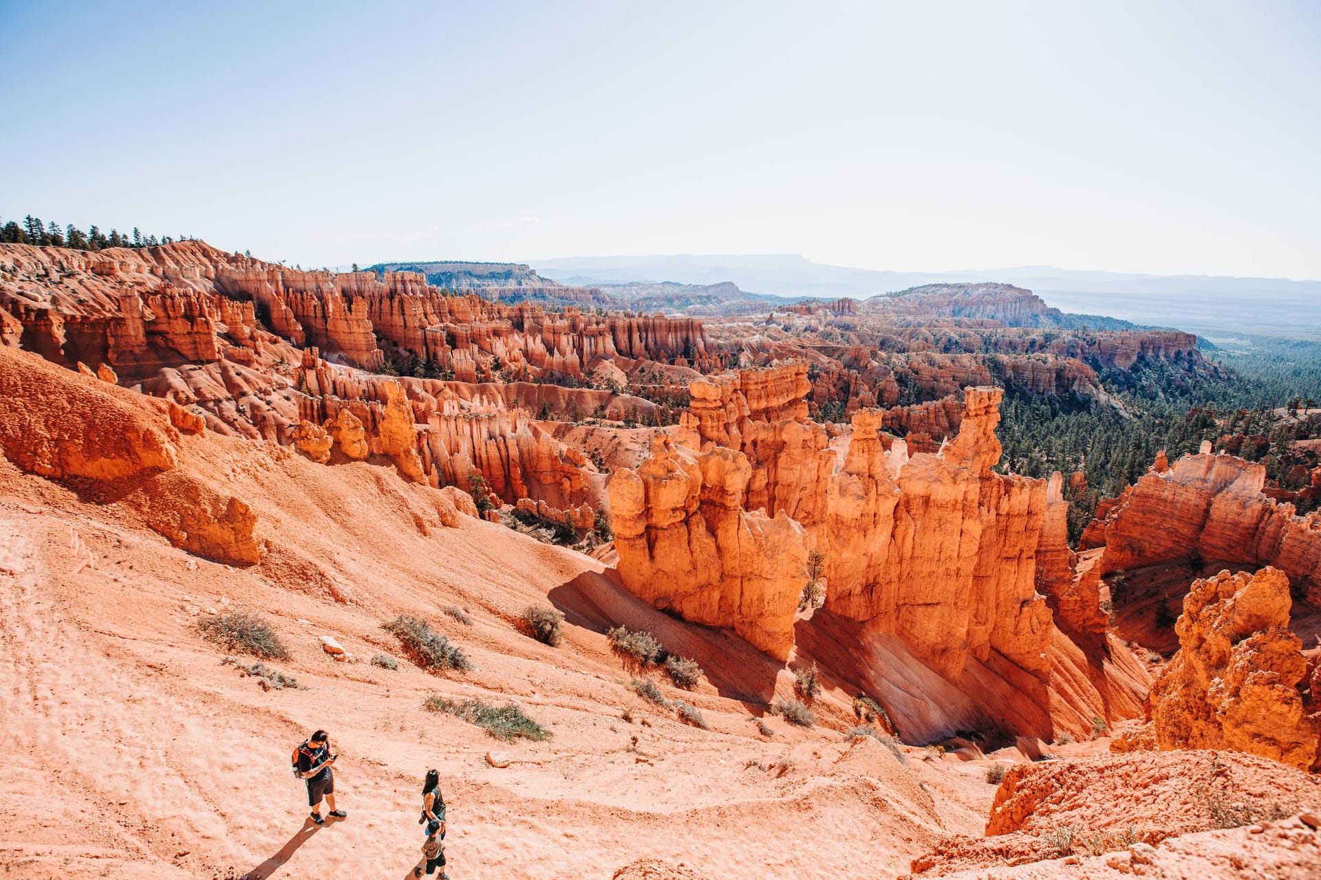 Der Bryce-Canyon-Nationalpark: Hier überlebte eine Katze den tödlichen Sturz ihrer Besitzer.
