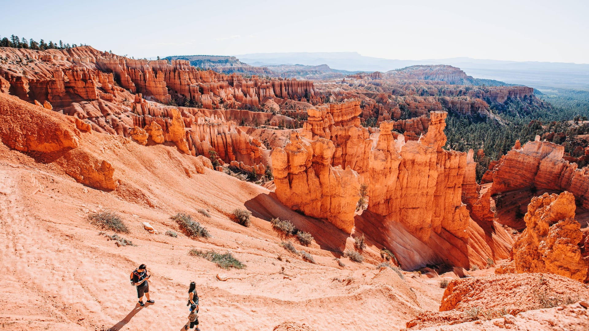 Der Bryce-Canyon-Nationalpark: Hier überlebte eine Katze den tödlichen Sturz ihrer Besitzer.