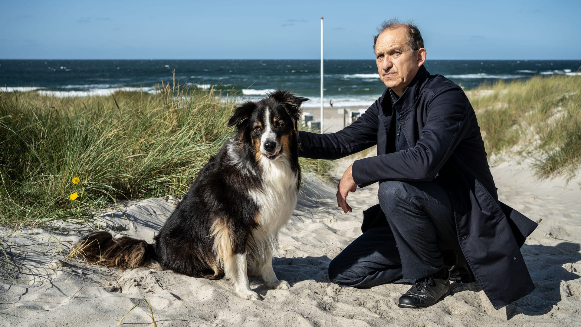 Peter Heinrich als Carl Sievers: Eine Szene aus "Nord Nord Mord – Sievers und der verlorene Hund".