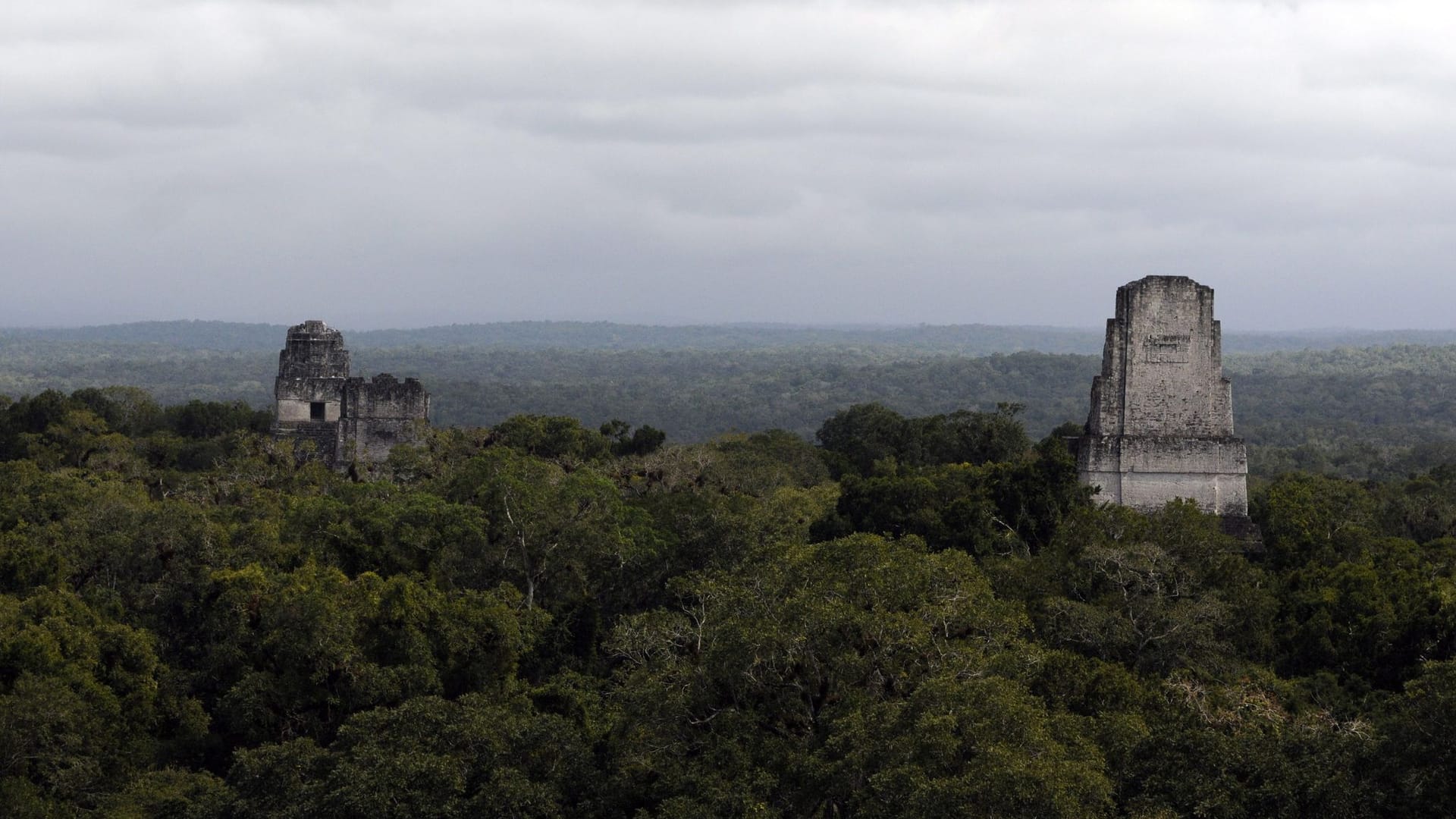 Fast 3.000 Jahre alte Maya-Stätte in Guatemala entdeckt Fast 3.000 Jahre alte Maya-Stätte in Guatemala entdeckt