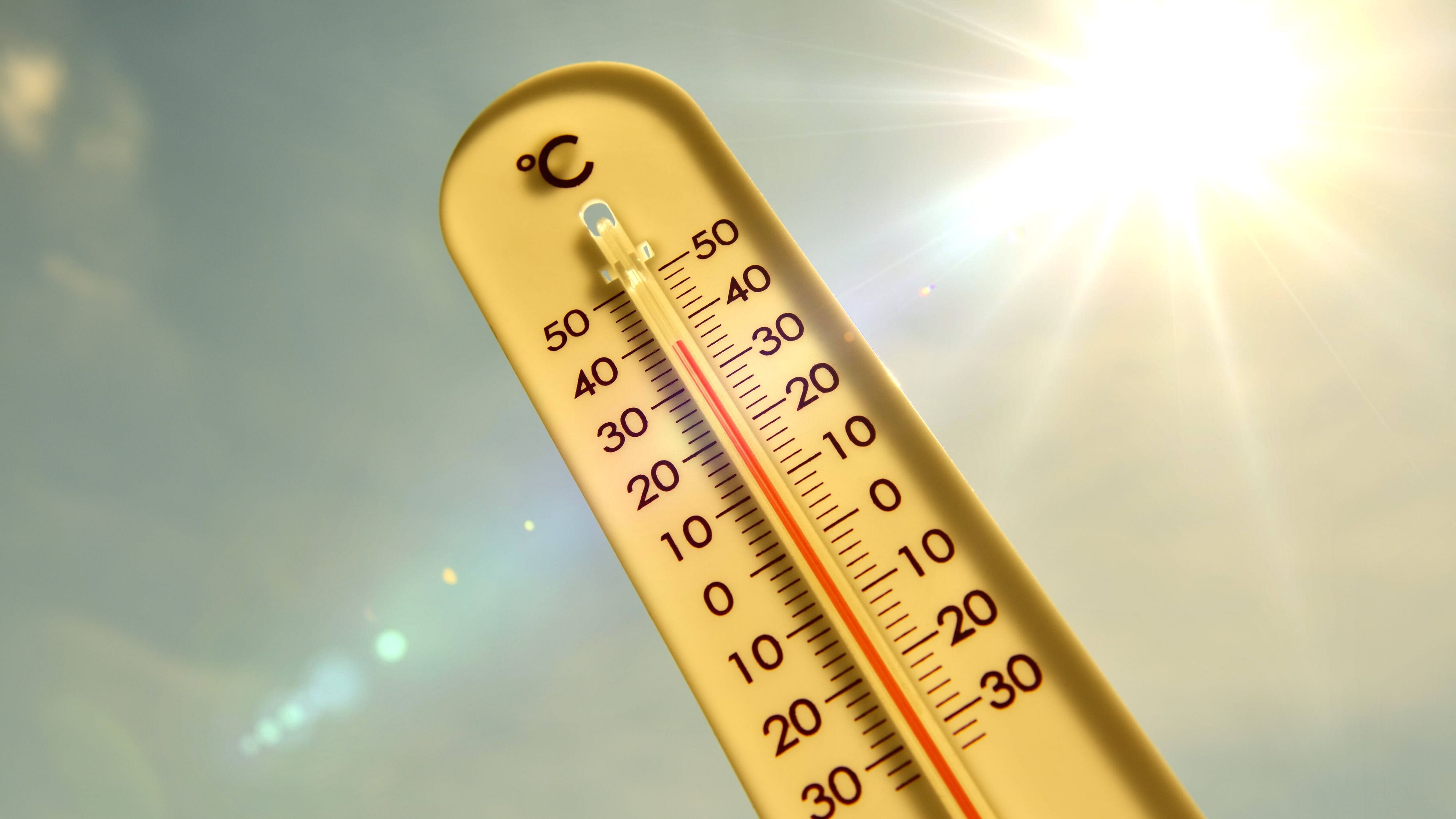 Wetter in Deutschland: Thermometer vor brennender Sonne: Ozeanische Anomalien deuten auf rekordverdächtigen Hitzesommer hin.