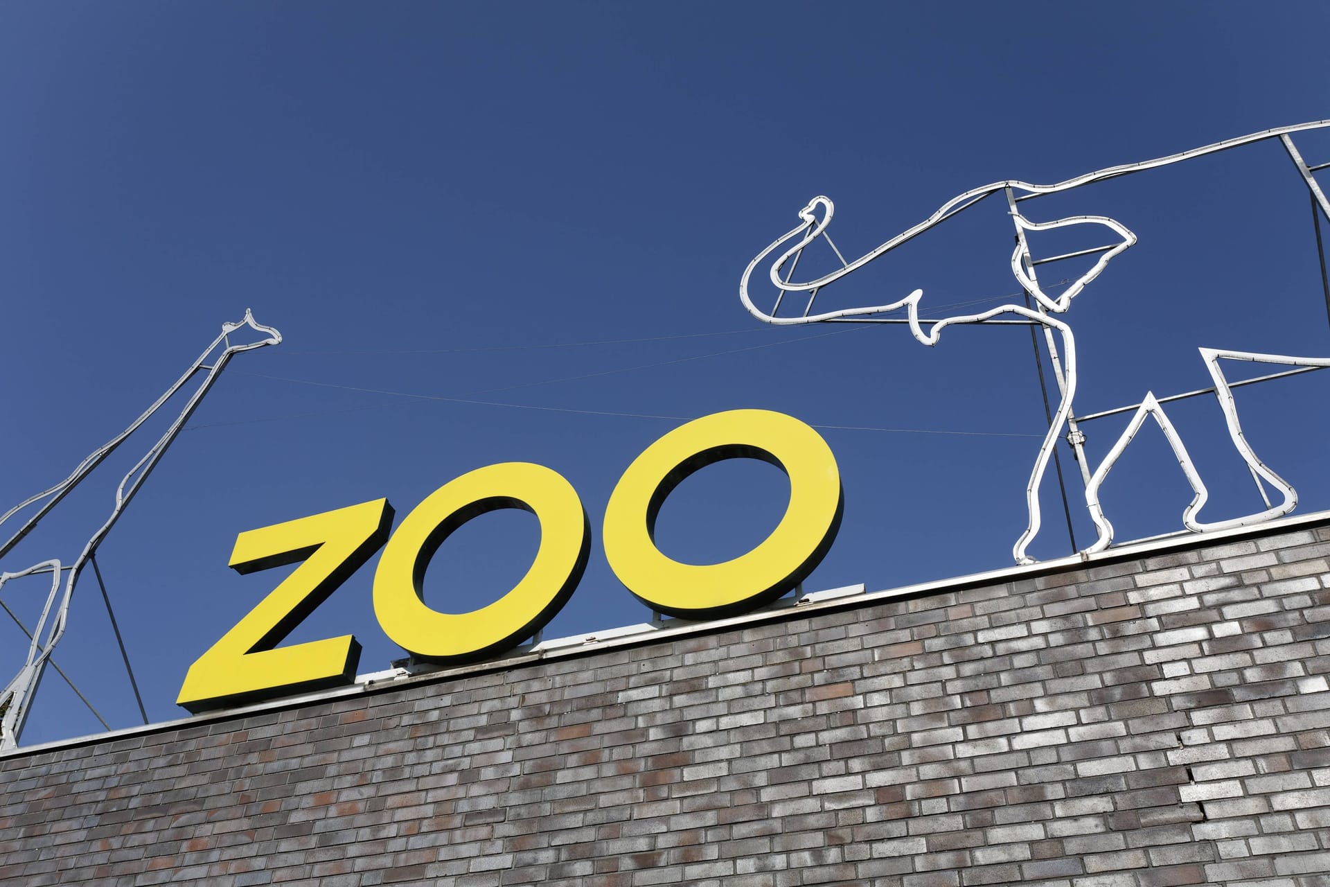 Ein Schriftzug auf dem Gebäude des Kölner Zoos (Symbolbild): Das beliebte Tropenhaus muss schließen.