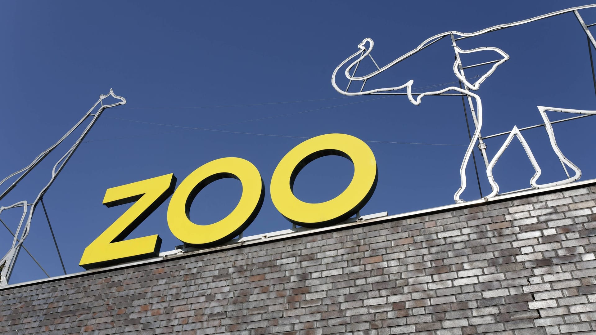 Ein Schriftzug auf dem Gebäude des Kölner Zoos (Symbolbild): Das beliebte Tropenhaus muss schließen. Ein Schriftzug auf dem Gebäude des Kölner Zoos (Symbolbild): Das beliebte Tropenhaus muss schließen.