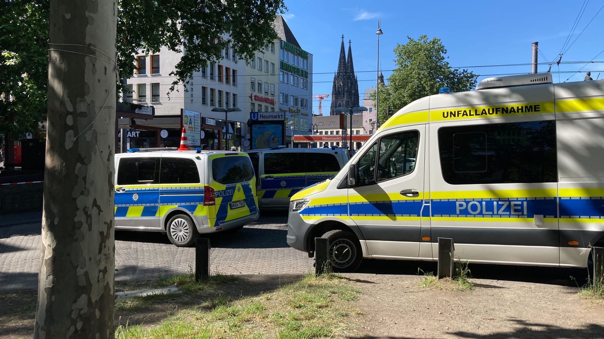 Polizeiwagen stehen an der Unfallstelle.