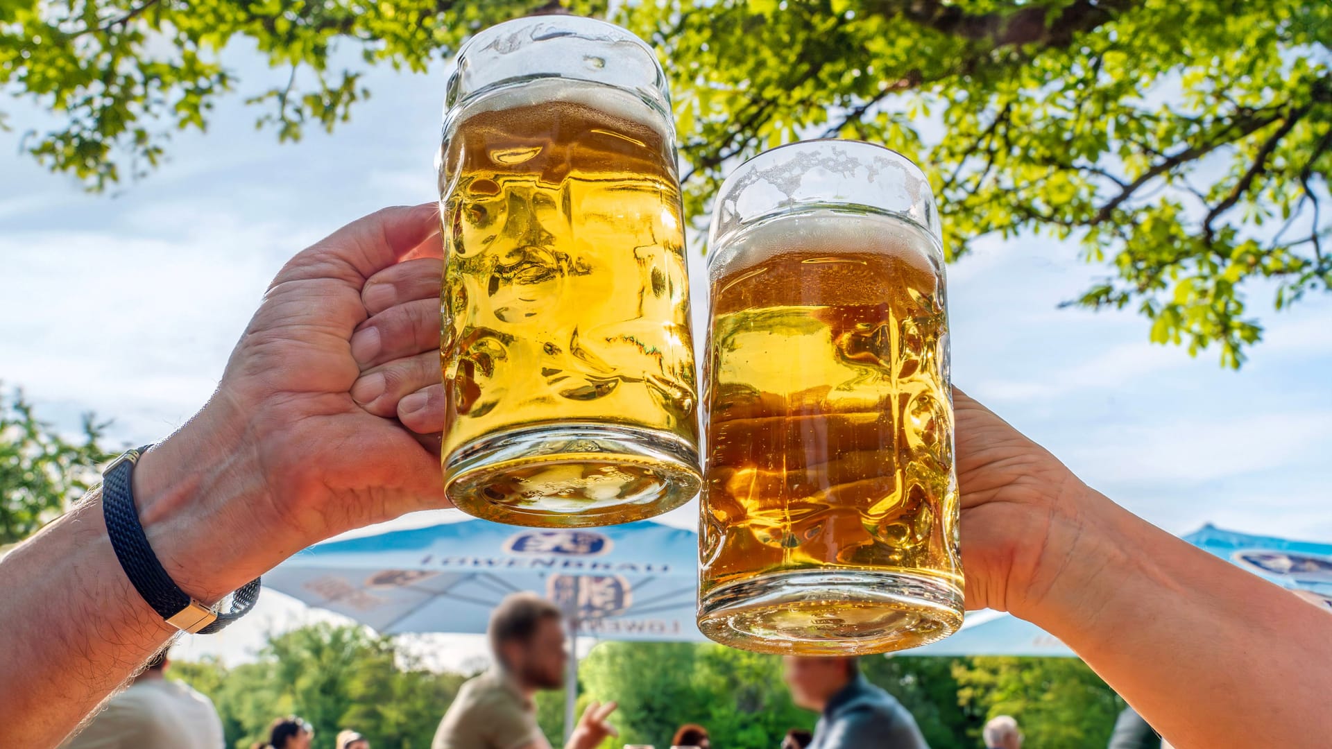 Zwei Personen prosten sich im Biergarten im Michaeligarten zu (Archivbild): Insgesamt sind drei Termine für die Biergartenwiesn geplant. Zwei Personen prosten sich im Biergarten im Michaeligarten zu (Archivbild): Insgesamt sind drei Termine für die Biergartenwiesn geplant.