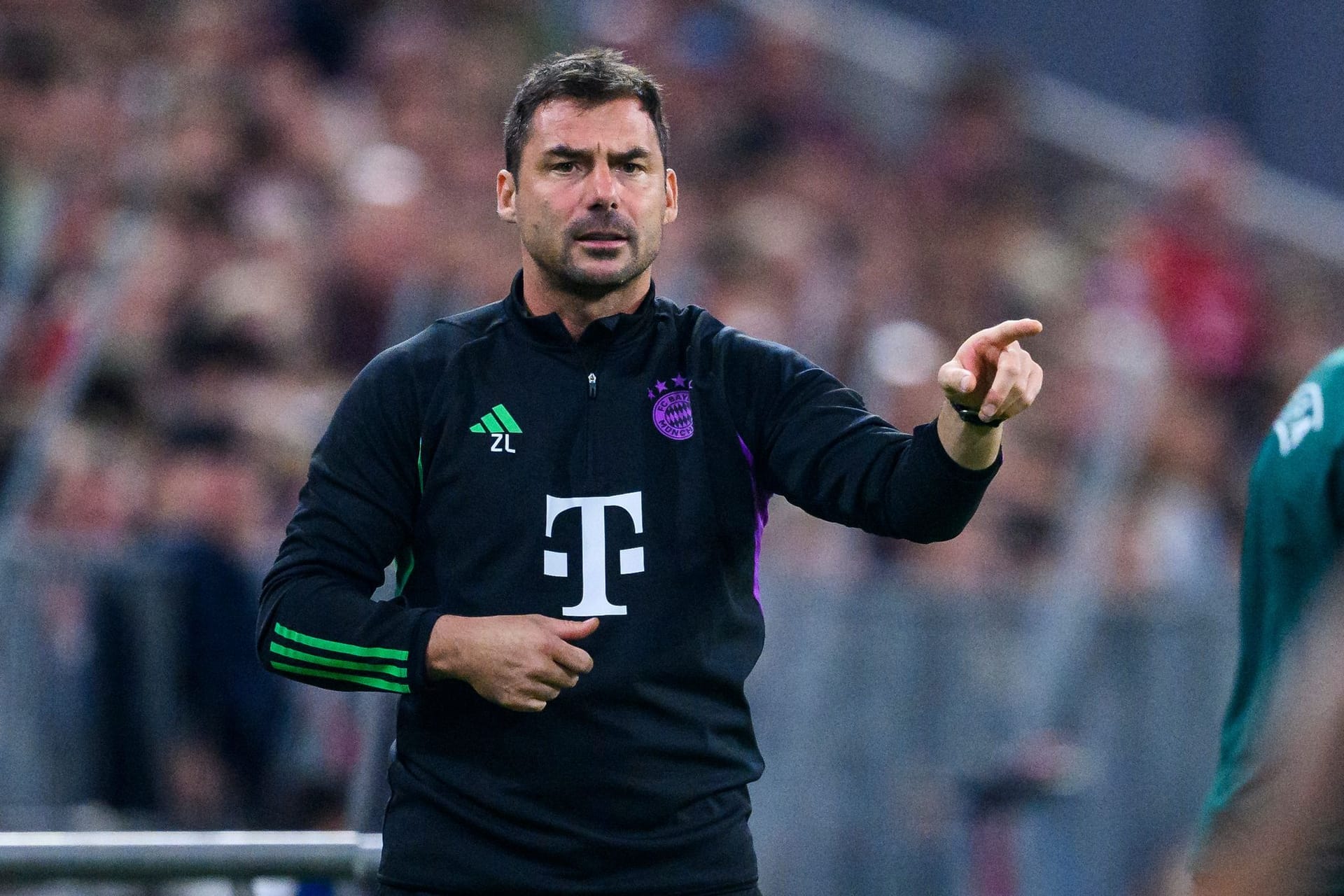 Zsolt Löw Zsolt Löw
