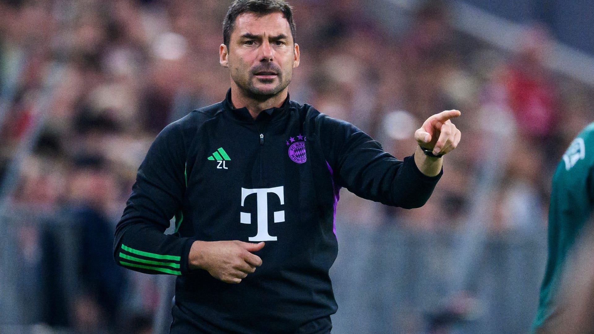 Zsolt Löw
