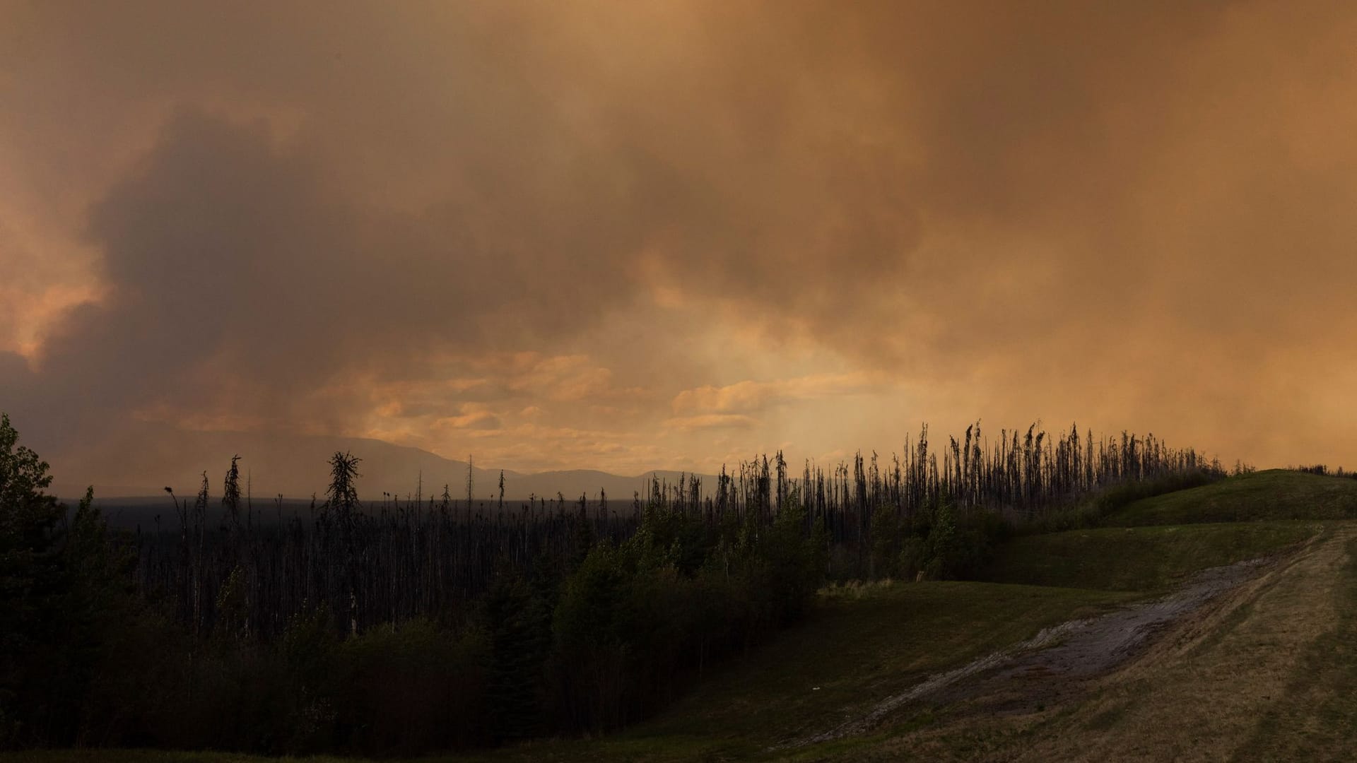 Waldbrände in Kanada - British Columbia