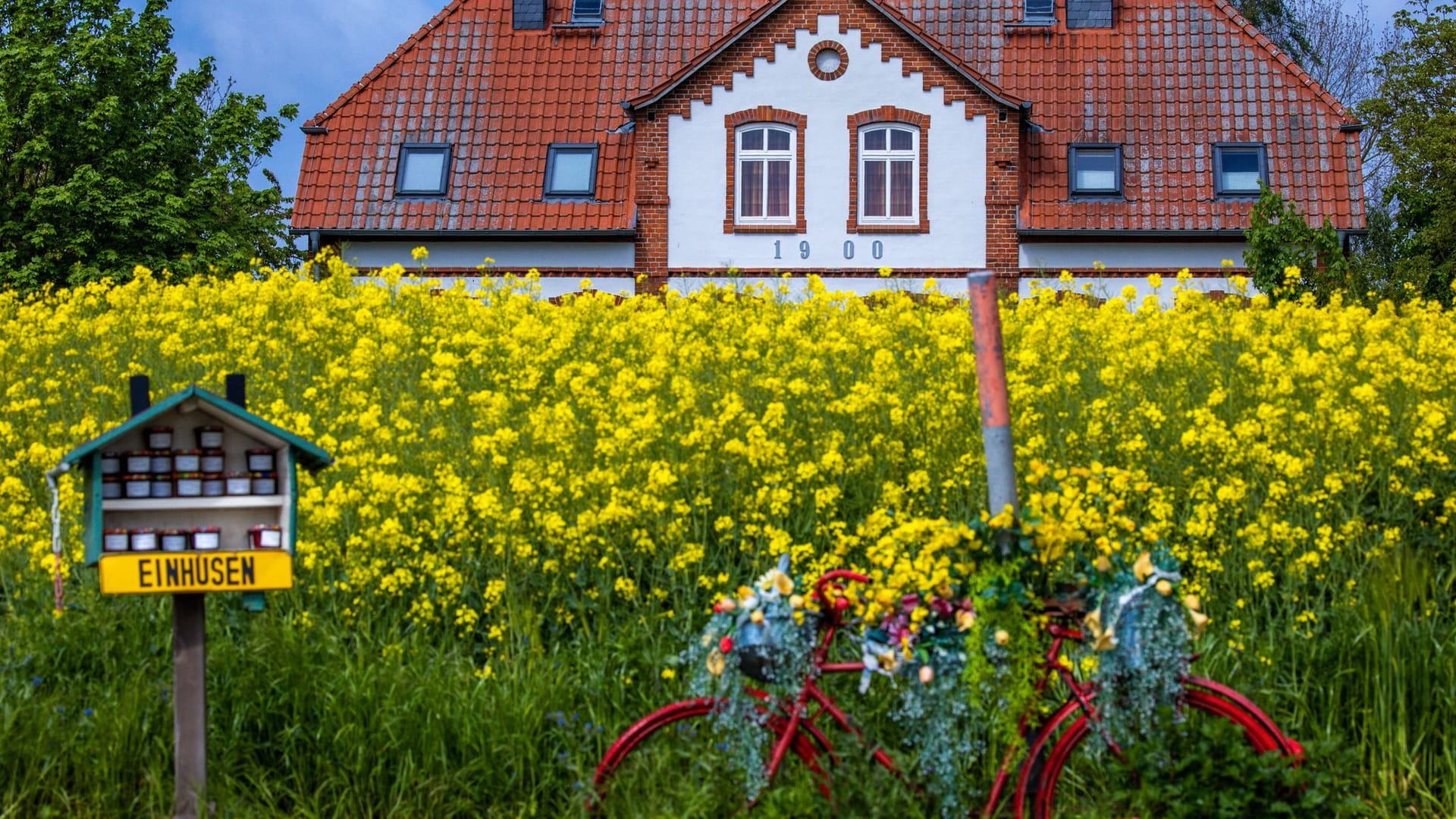 Ferienhaus an der Ostseeküste