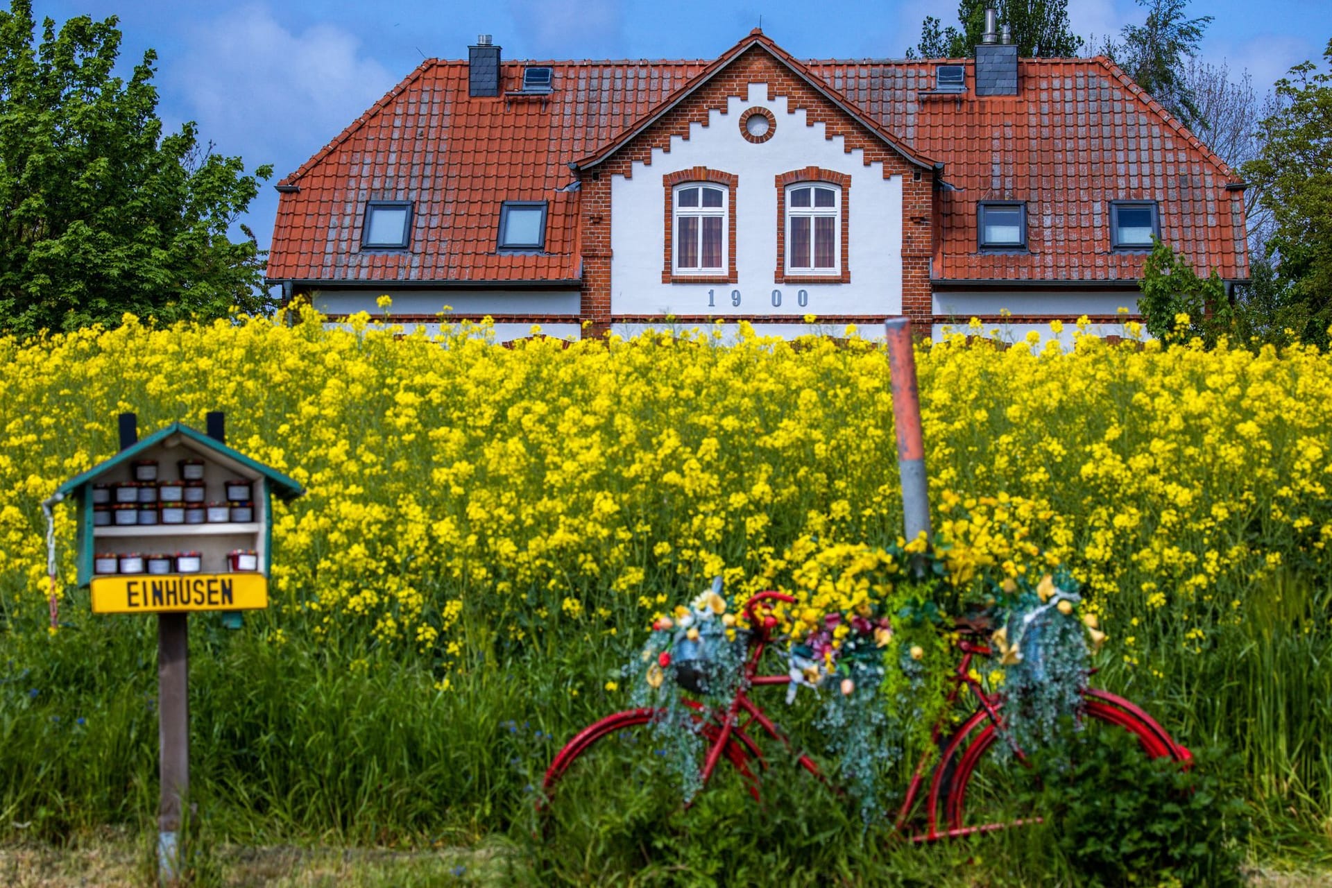 Ferienhaus an der Ostseeküste Ferienhaus an der Ostseeküste