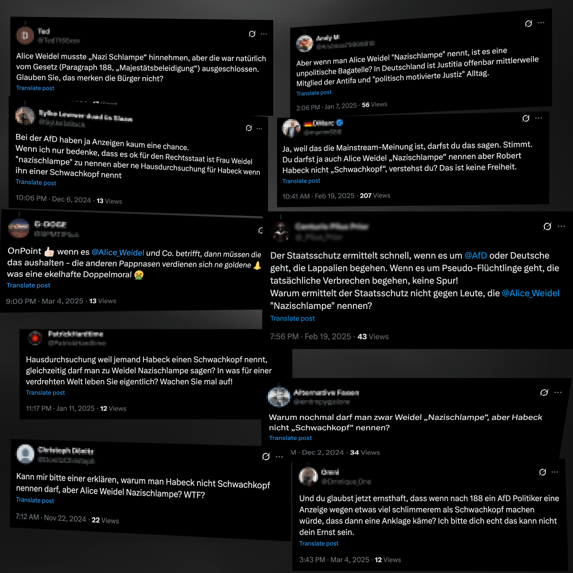 Irrglauben: Im Netz ist die Annahme weit verbreitet, dass Alice Weidel als "Nazischlampe" beleidigt werden dürfe.