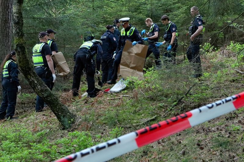 Hamburg: Einsatzkräfte der Polizei suchen in einem Wald nach Spuren.