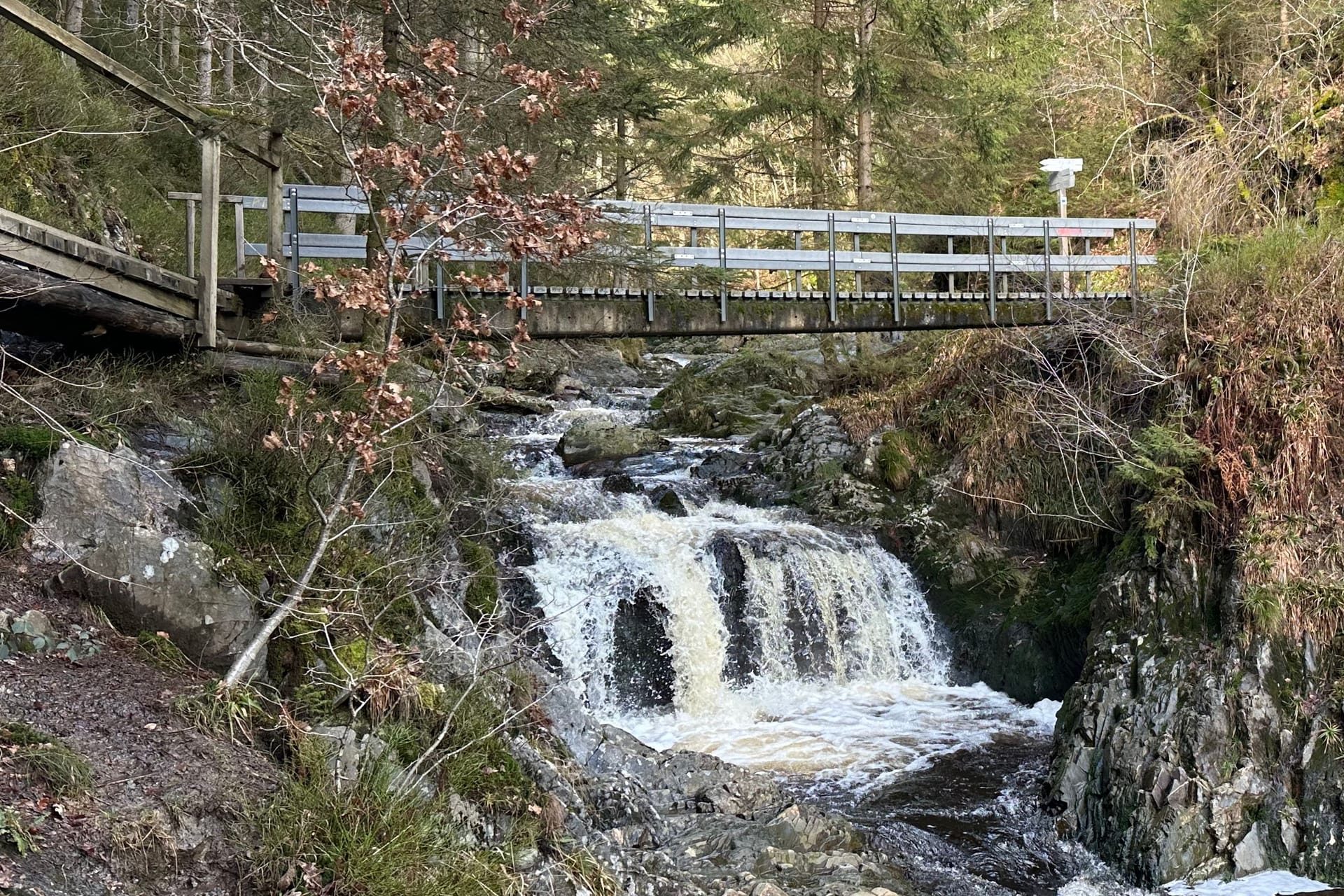 Das Trôs-Marets-Tal im Hohen Venn erinnert an eine Bergklamm in Österreich: Manchmal färbt sich der Wildwasserbach auch rötlich.