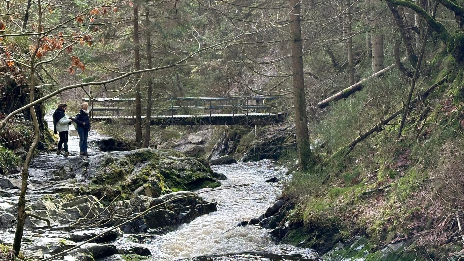 Der Trôs-Marets-Bach: Bei starkem Regen können auch die Uferabschnitte glitschig werden, dafür gibt es einen traumhaften Blick auf den Bach.