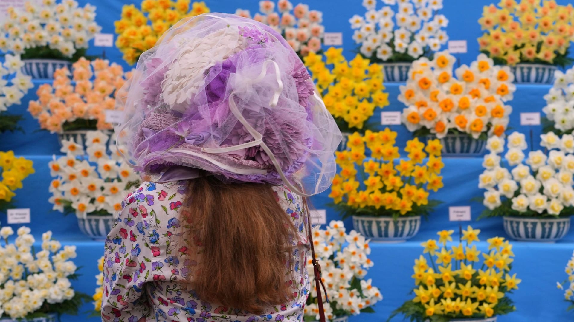 Chelsea Flower Show in London