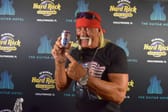 Hulk Hogan will "Hooters" retten
