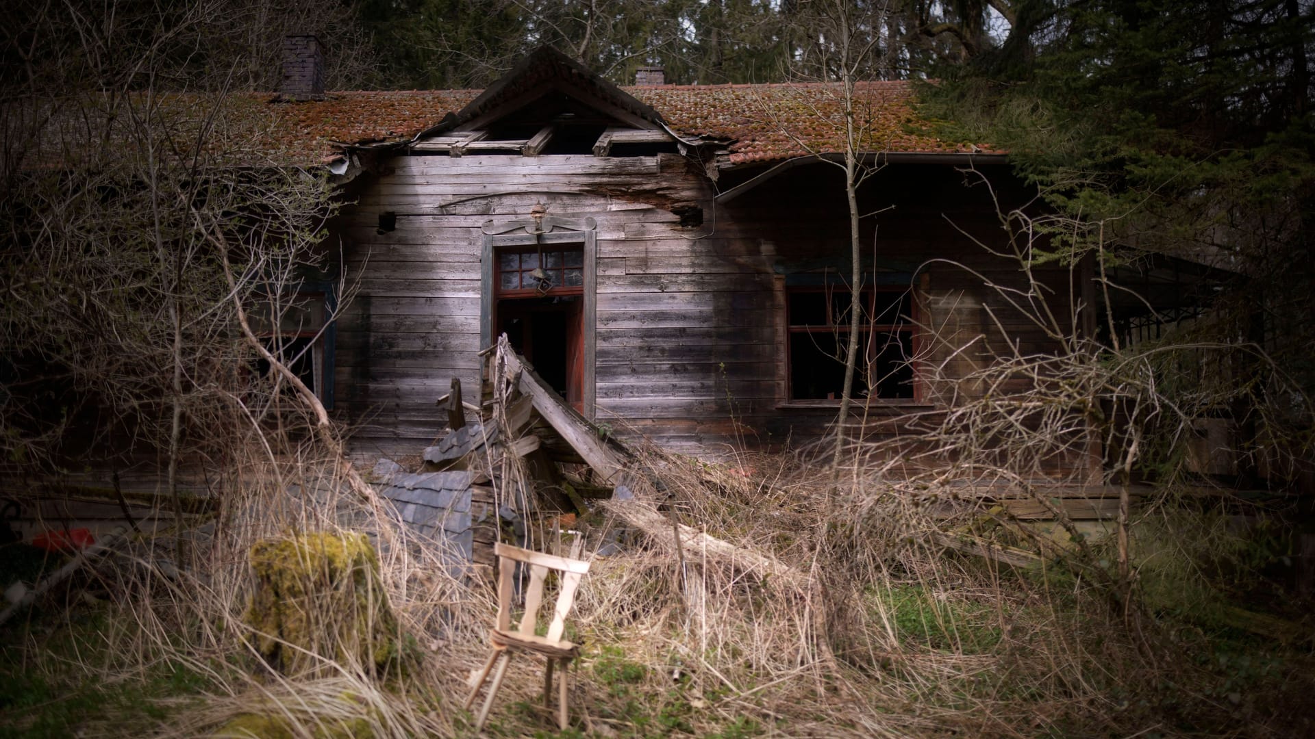 Ein verlassenes Haus im Wald (Symbolbild): Ein Einsiedler wurde in Frankreich von einem Pizzabäcker umgebracht. Ein verlassenes Haus im Wald (Symbolbild): Ein Einsiedler wurde in Frankreich von einem Pizzabäcker umgebracht.