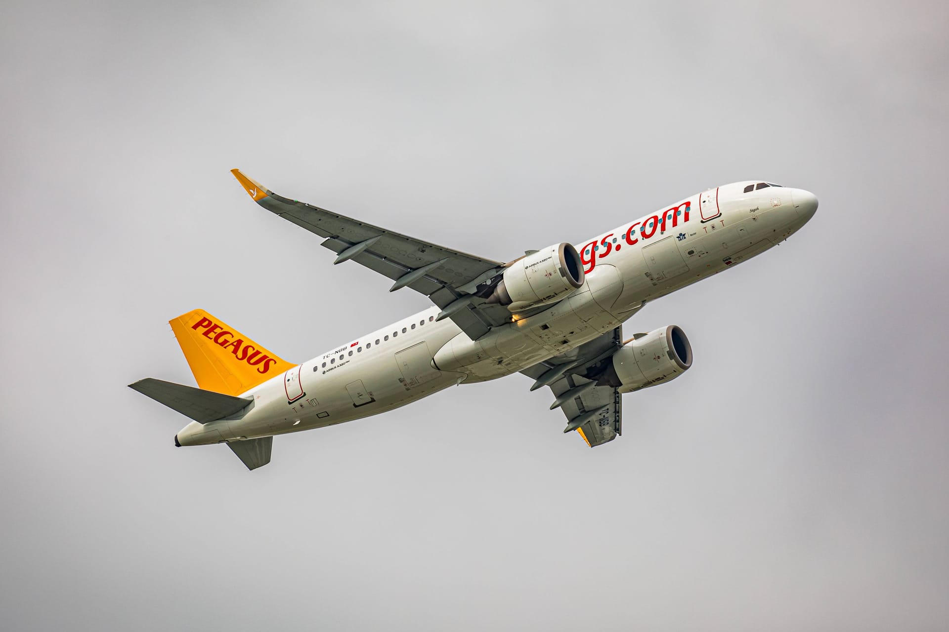 Ein Airbus A320 der türkischen Fluggesellschaft Pegasus Airlines (Symbolbild): Ein Flug von Antalya nach Köln/Bonn wurde überraschend abgebrochen.