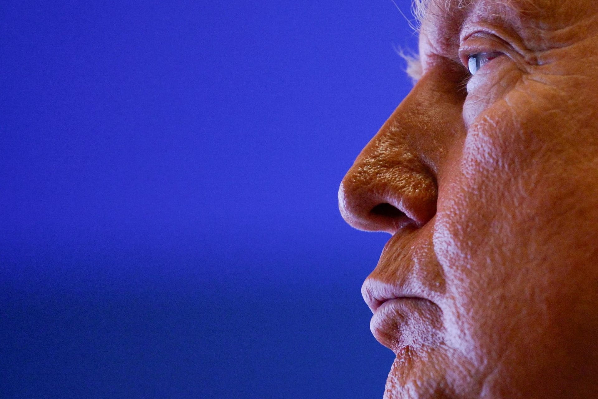 Donald Trump: Der US-Präsident arbeitet mit Furcht und Schrecken, sagt Werner Plumpe.