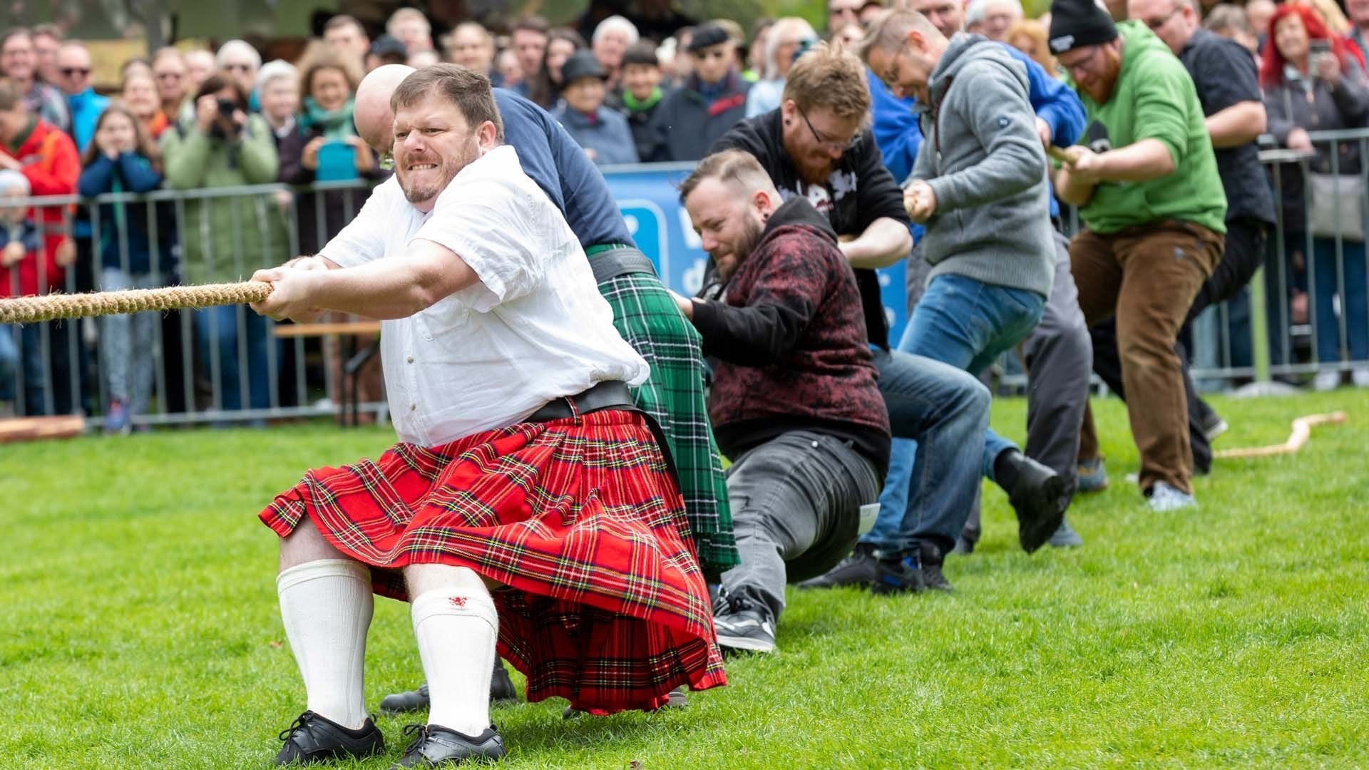 Tauziehen beim Highland Gathering: Ein Wettbewerb, bei dem viele Besucher zuschauen.