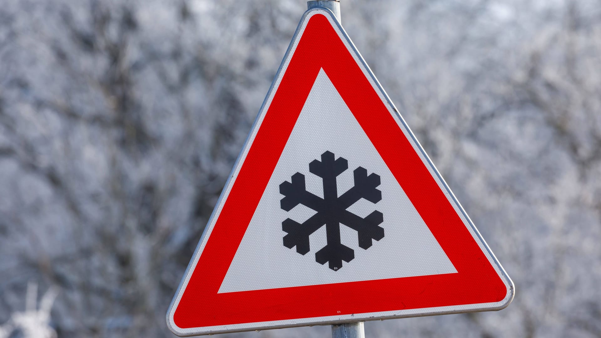 Zum Wochenende wird es eisig in Köln und der Region: Der Deutsche Wetterdienst rechnet mit einem Temperatursturz und Bodenfrost.