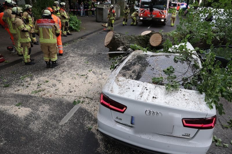 Unfallstelle auf der Vennhauser Allee: Der Fahrer des Audi kam mit schweren Verletzungen in eine Klinik. Unfallstelle auf der Vennhauser Allee: Der Fahrer des Audi kam mit schweren Verletzungen in eine Klinik.