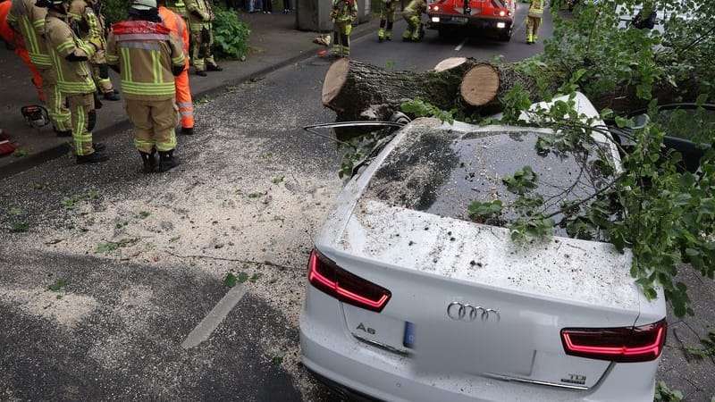 Unfallstelle auf der Vennhauser Allee: Der Fahrer des Audi kam mit schweren Verletzungen in eine Klinik.