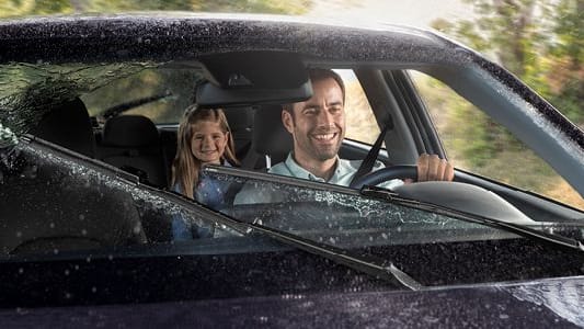 Mit diesen Scheibenwischern werden Ihre Scheiben stets sauber.