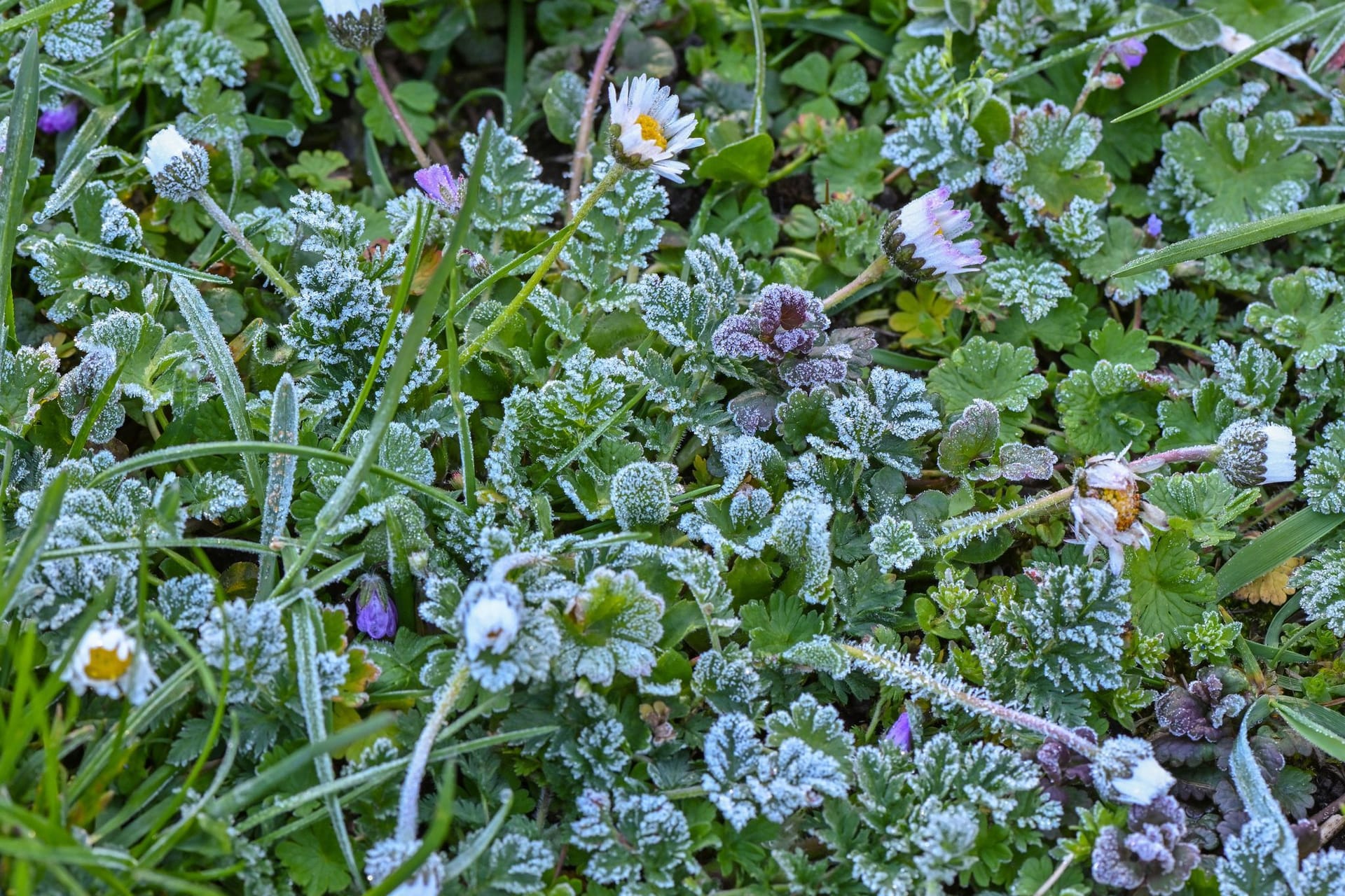 Wetter in Brandenburg