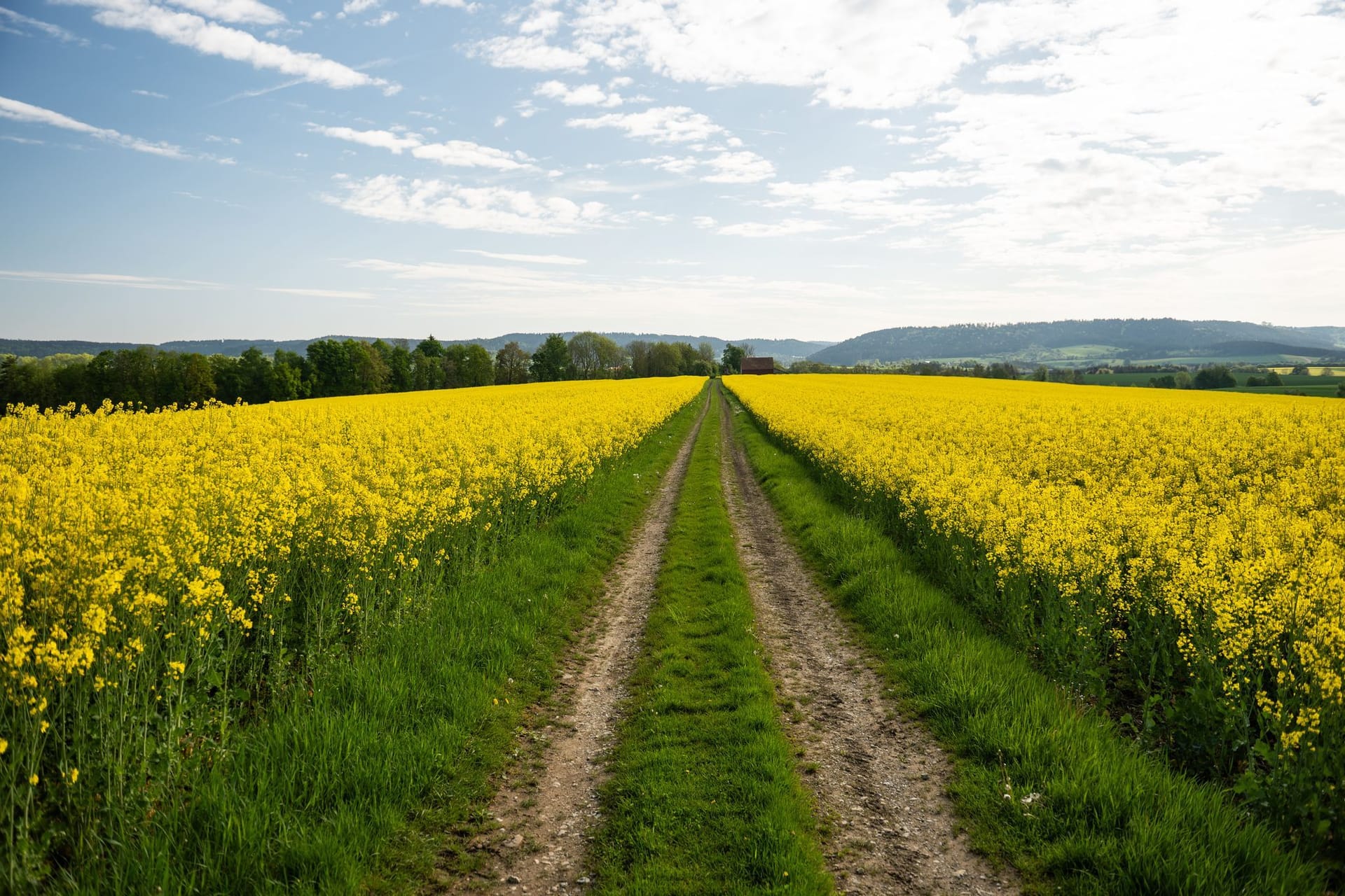 Frühling in Baden-Württemberg