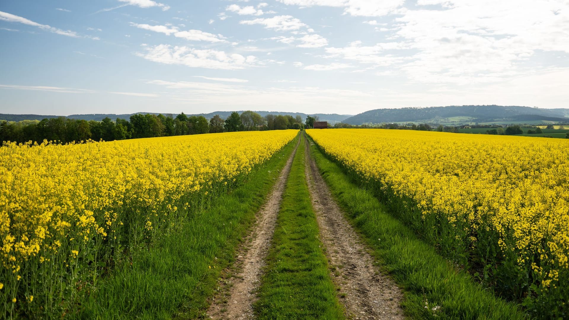 Frühling in Baden-Württemberg Frühling in Baden-Württemberg