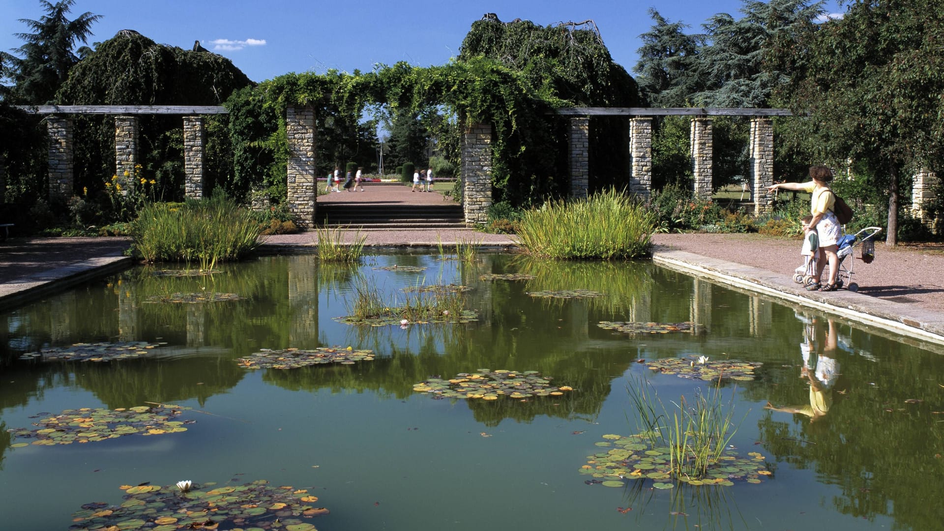 Der Seerosenteich (Archivbild): Der Japanische Garten in Düsseldorf ist für viele Menschen ein Rückzugsort.