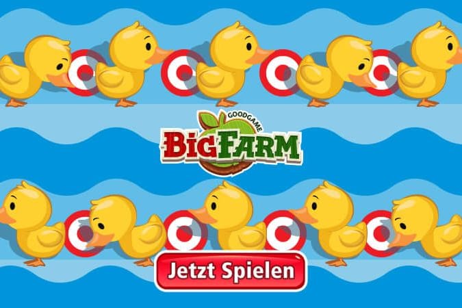 Big Farm