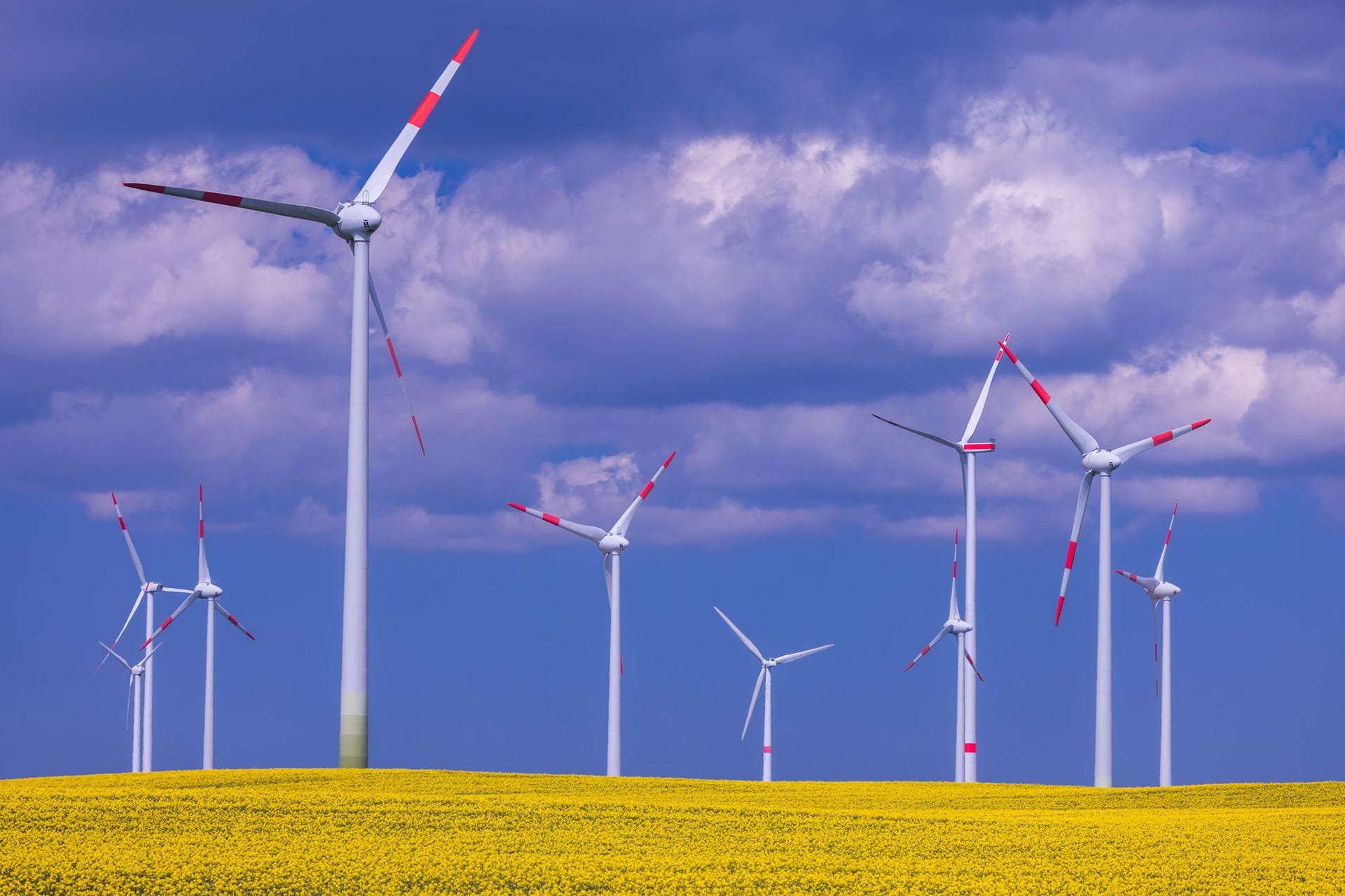 Windparks