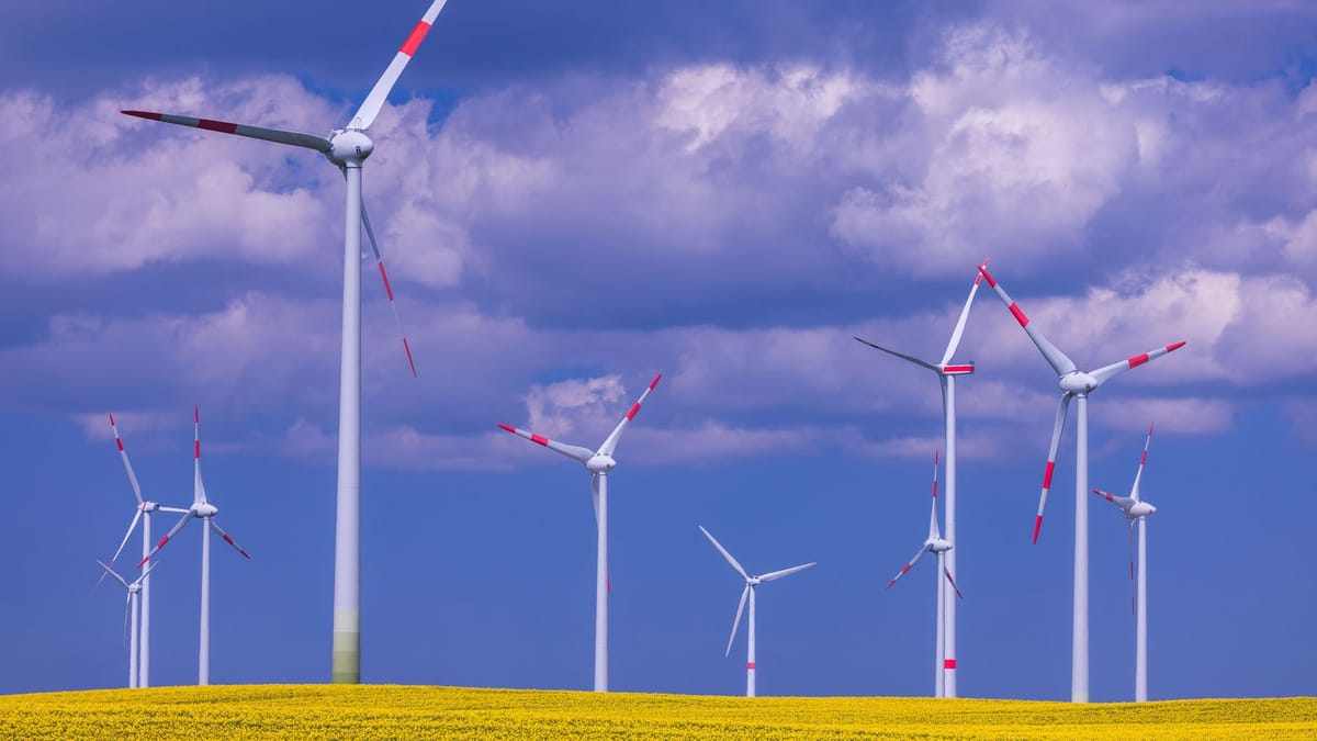 Erneuerbare Energien: Grüne warnen Wirtschaftsministerin vor falscher Priorisierung fossiler Brennstoffe