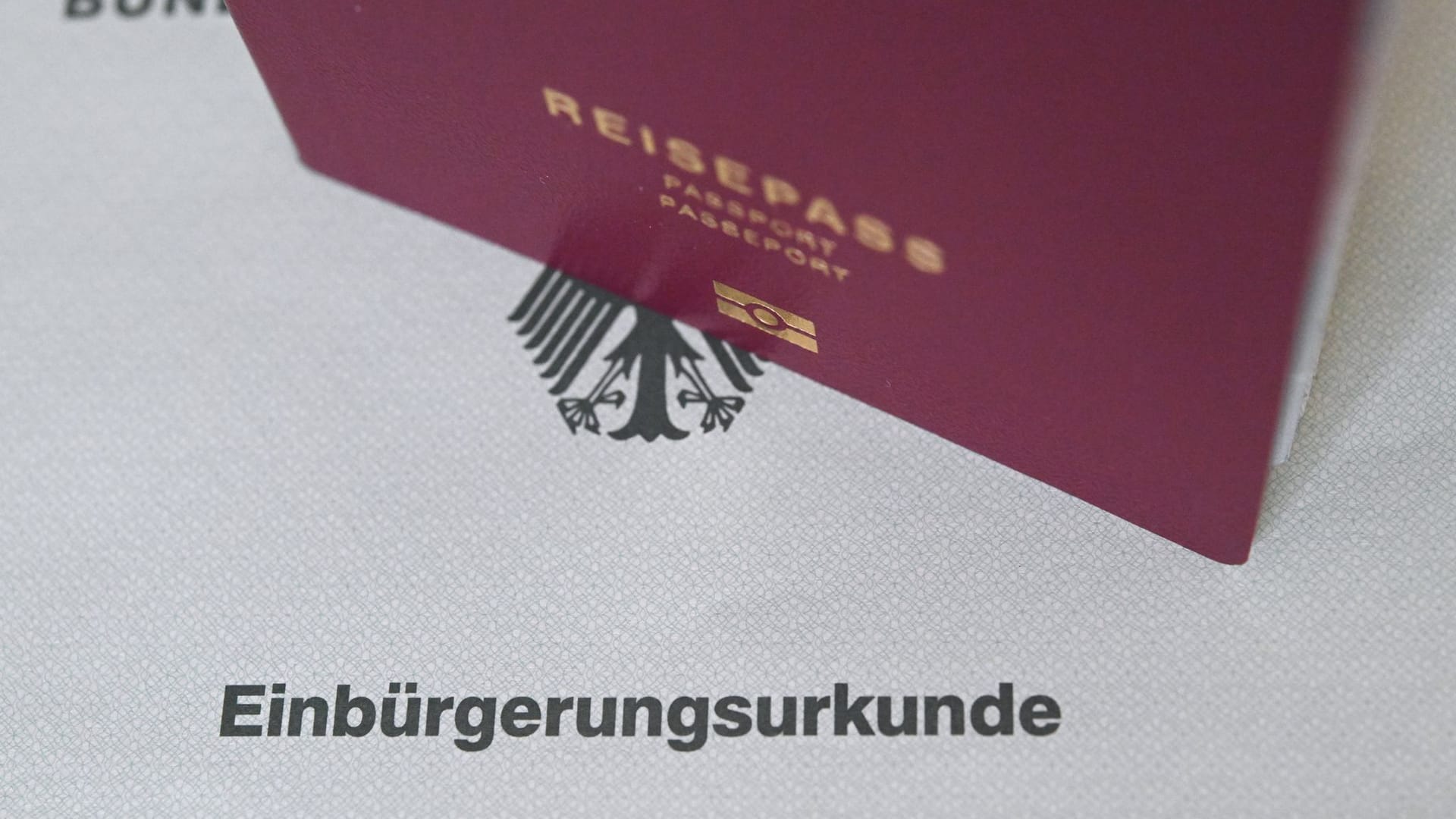 Illustration - Einbürgerung Illustration - Einbürgerung