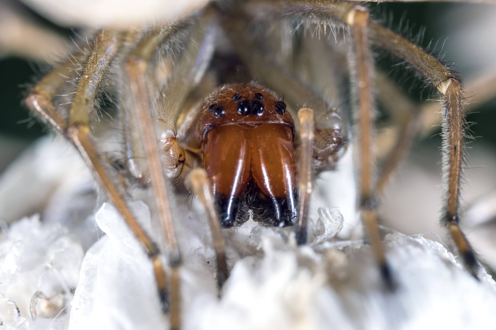 imago images 145704387