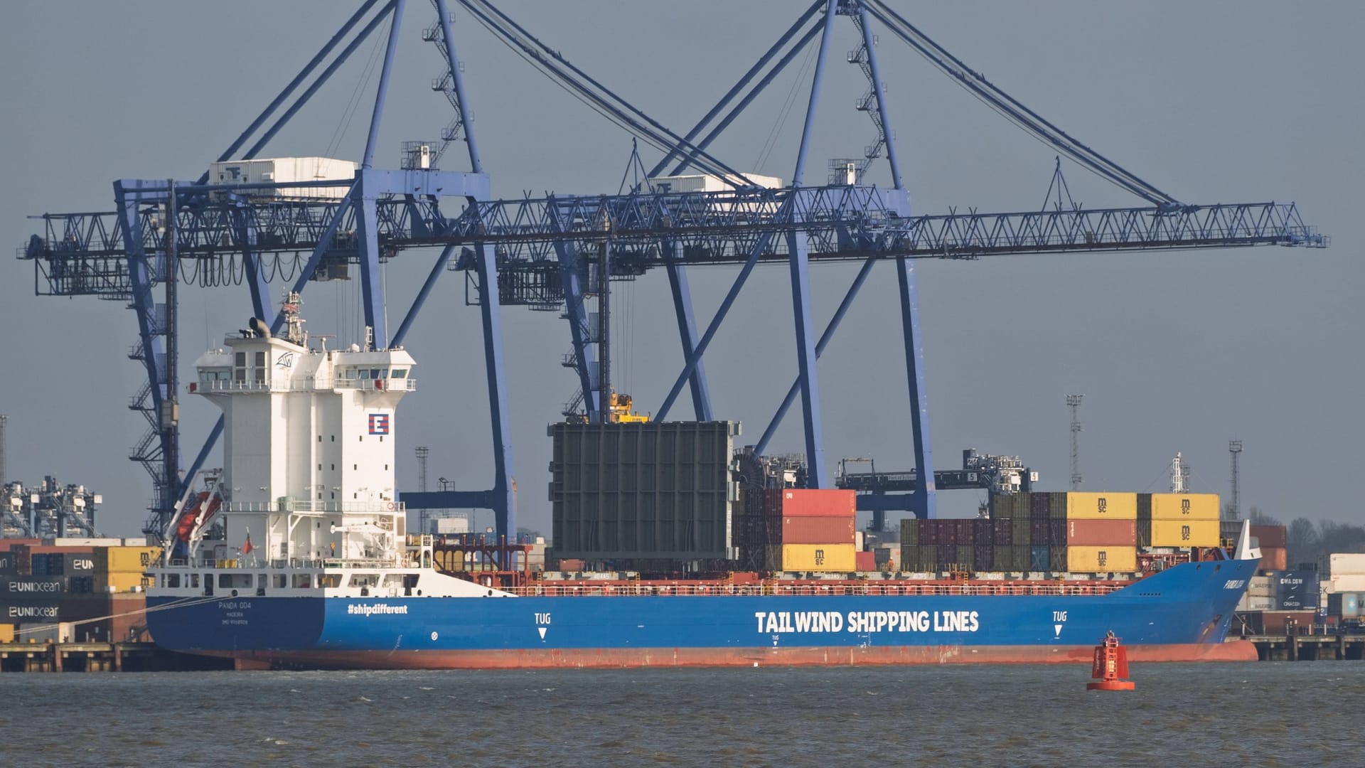 Ein Frachter von Tailwind in einem Hafen (Symbolbild): Lidl lässt erstmals eigene Schiffe bauen. Ein Frachter von Tailwind in einem Hafen (Symbolbild): Lidl lässt erstmals eigene Schiffe bauen.