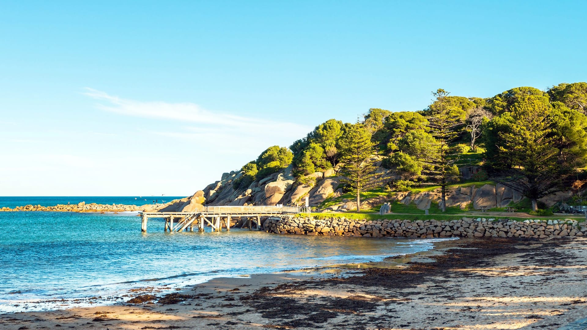 Die Horseshoe Bay in Australien (Symbolbild): Das Australian Museum stuft den Fund als ungewöhnlich ein.