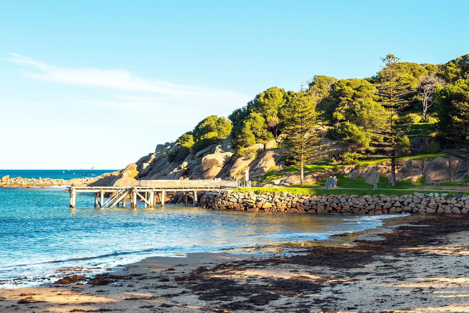Die Horseshoe Bay in Australien (Symbolbild): Das Australian Museum stuft den Fund als ungewöhnlich ein.