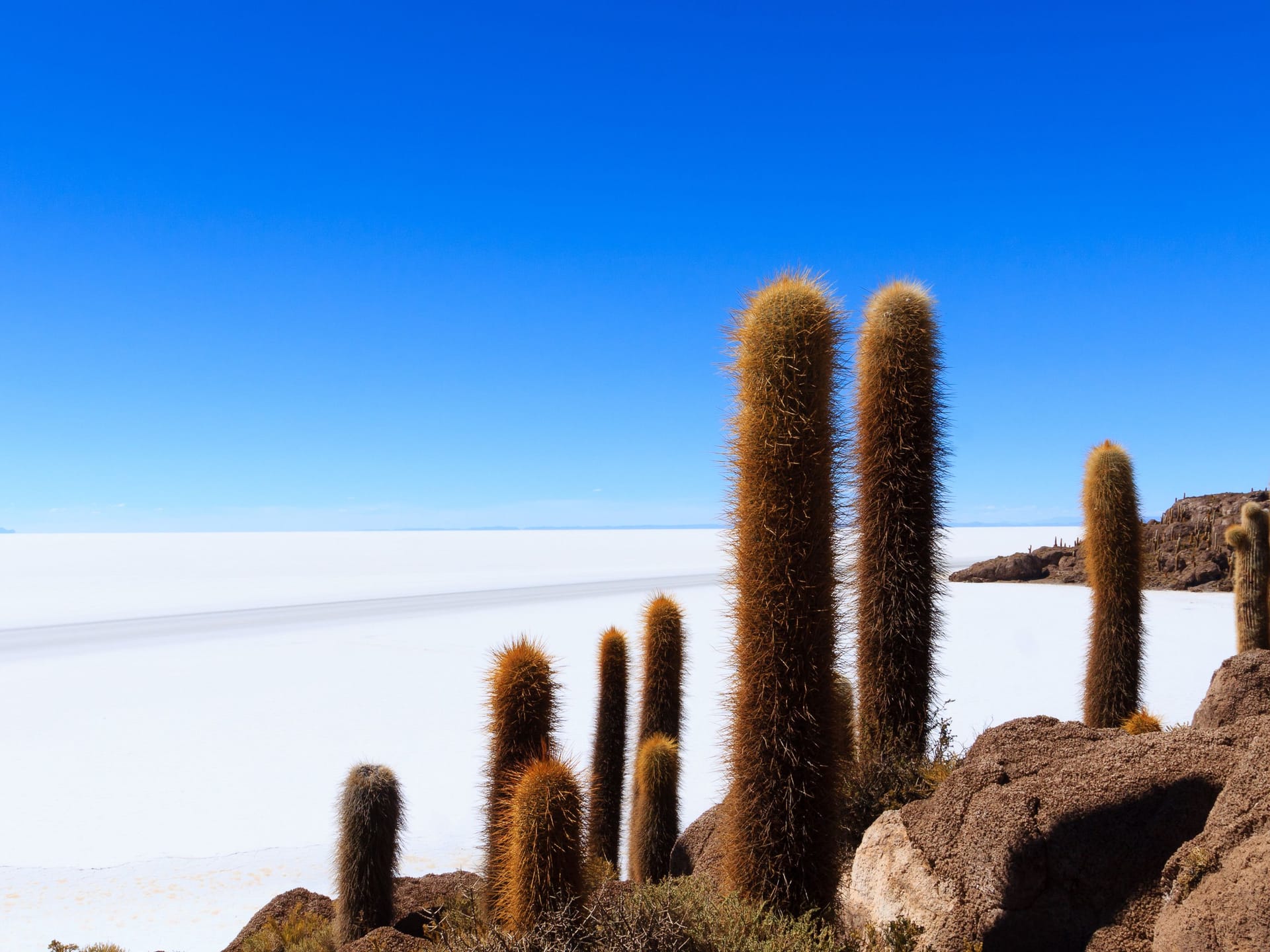 Ein fast schon surrealer Anblick: Die Salzwüste Salar de Uyuni in Bolivien.